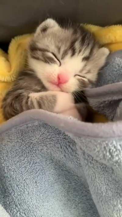 I think I'll sleep a little more.