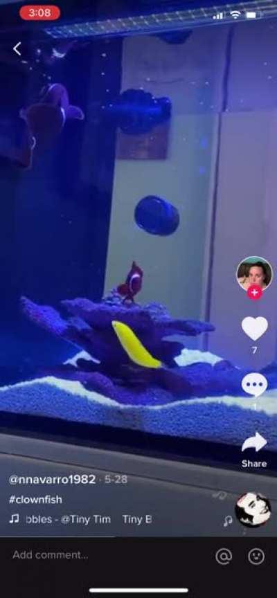 You cannot be serious. 🤦🏽‍♂️