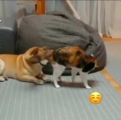 What's going on here?