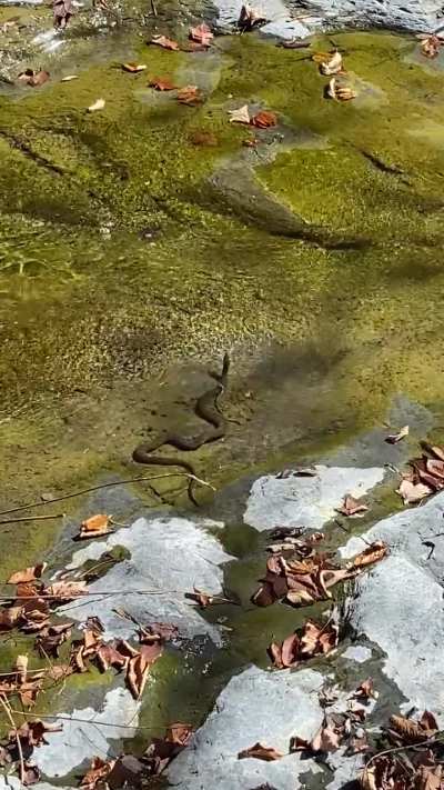 Can anyone explain what’s happening here?