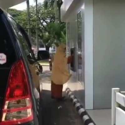 The way the wind blow