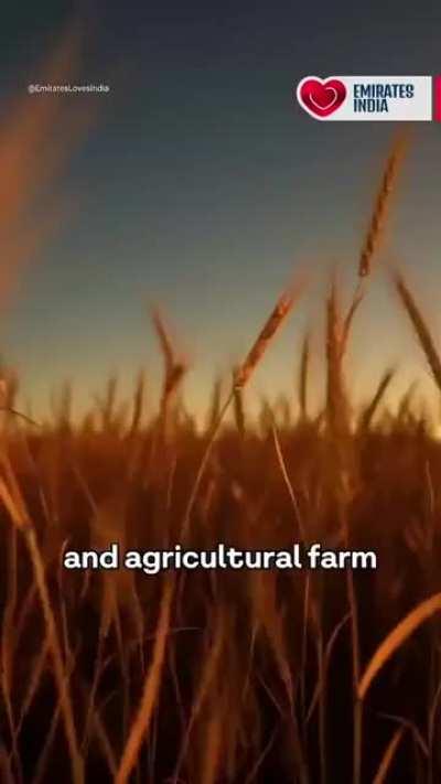 Smallest family in India