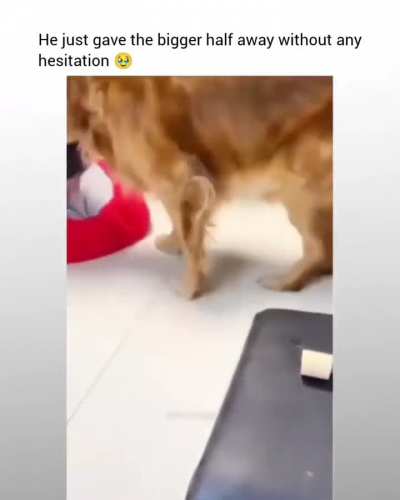 he gave it without hesitation 