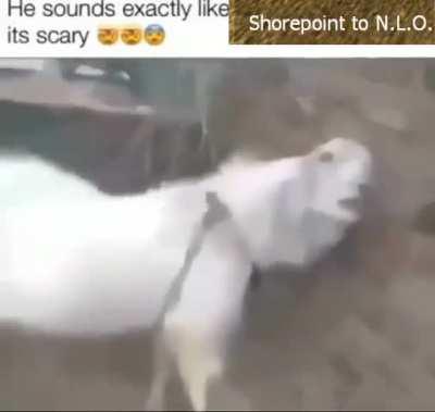 shorepoint to nlo shorepoint to new little odessa come in odessa do you read