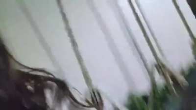 Alina Rose records moment Antonio Brown fires gun at man who snatched his chain