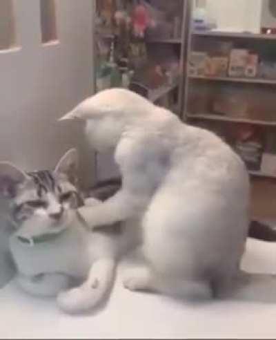 The sweetest massage between two lovers