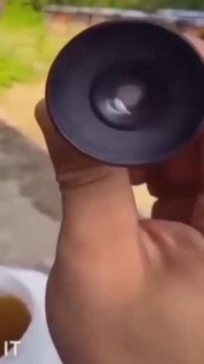 Nitrom yakın zamanda bitiyo o yüzden 31