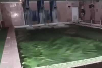 How does this video make you feel?