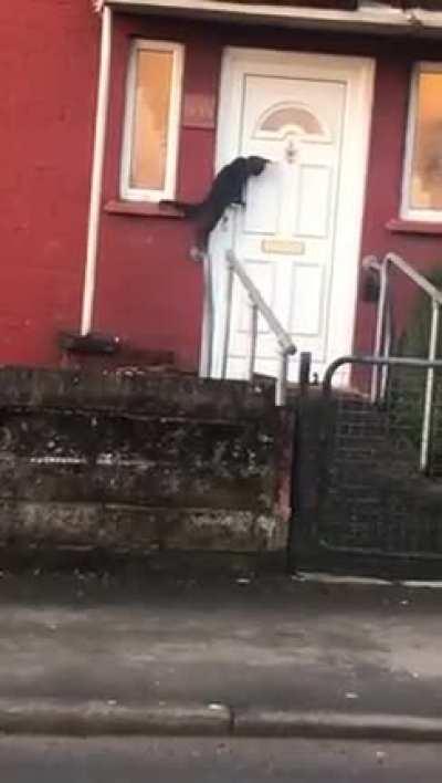 &ldquo;Excuse me, I think you&rsquo;ve forgot me outside&rdquo;