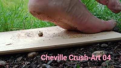 Cheville Crush 07