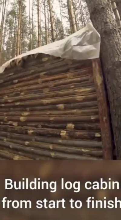 Building a log cabin from scratch