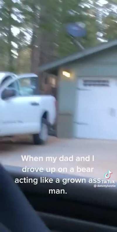 Bear opens car door and Hops in