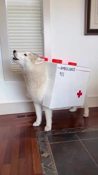 It's an emergency!