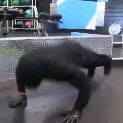 П профессионалы