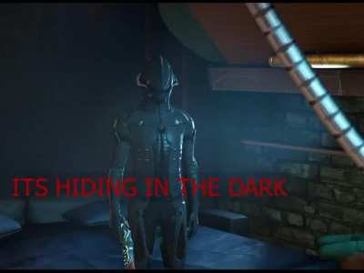 Voruna Prime mains will SWEAR to you this is what playing her feels like.