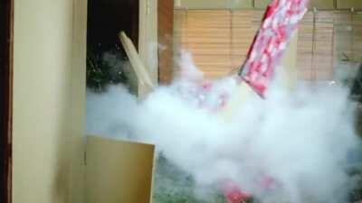 I’m like 99% sure this is how to kill a snake