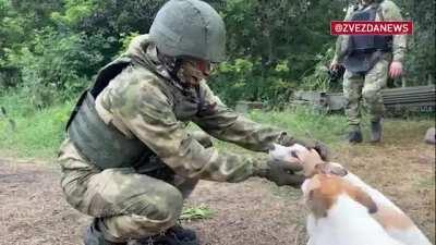 Ru pov: Artillerymen sheltered dogs in the Avdeevka direction, and the animals in response help and warn the fighters about uninvited guests: âThese are our calls. We feed, we care. Someone is coming - they notify, you will find out in advance, â a Ru