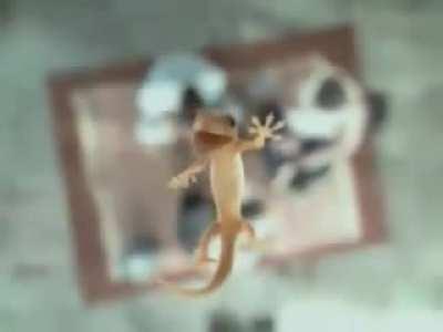 thanks, I hate this ad