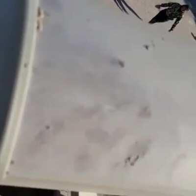 I hate everything about how this video is shot