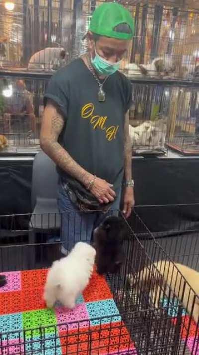 Okay, you're going home with me