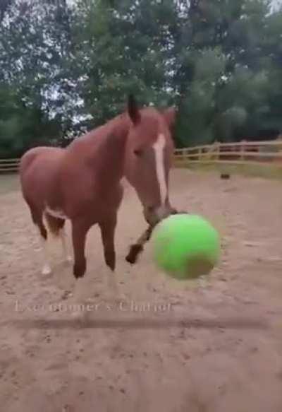 Executioner's Chariot (It wasn't made by me)