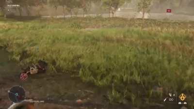 In Far Cry 6 Chrorizo will always go for the nearest water source when on fire 🔥