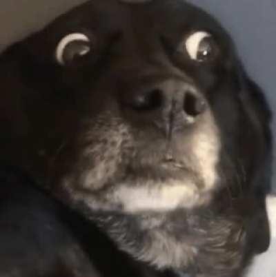 MRW I request contact-less drop-off, and I open the door in my underwear only to see the delivery driver standing there waiting for a signature