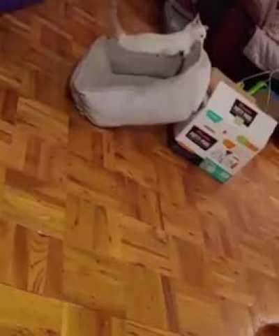 Кровать в коробке!