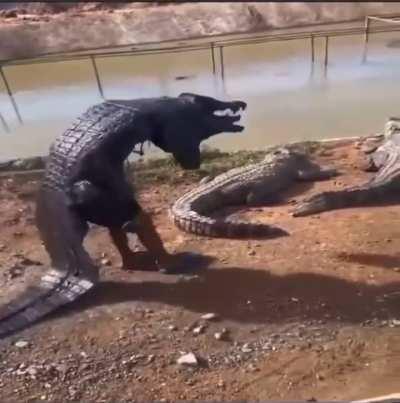 This guy better be in GTA6.