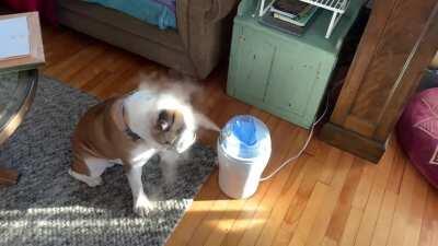 Self care is important