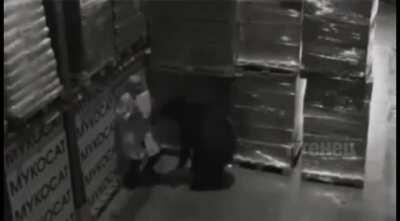 Helping with inventory