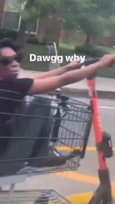 She riding the best ride