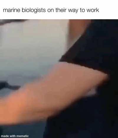 The first time you drive your snowfox [below zero]