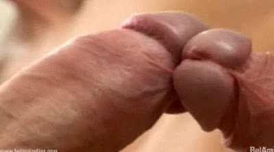 Just two bros hanging out, socks are on so it’s straight right ?