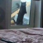 I found this very funny