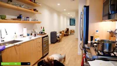 Our Fave Panda Tights 🐼🔥 (Pause and Enlarge Fella's)