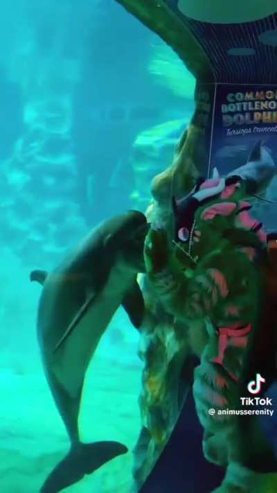 Wunk meet a losercity citizen