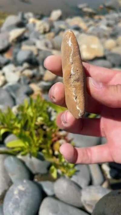 What a nice looking rock!