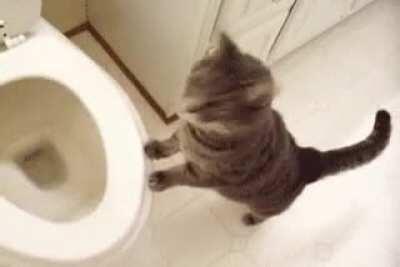 Where's it gone? WHERE?