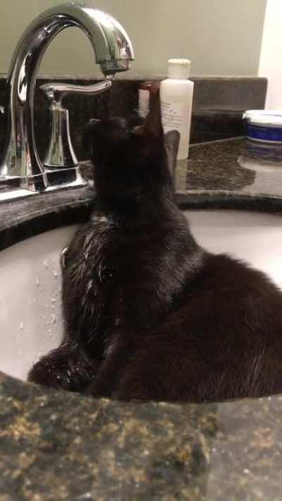 Time for a little bath in the sink