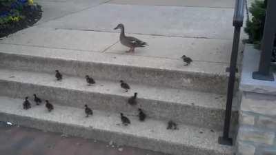 Not a single soldier gets left behind.