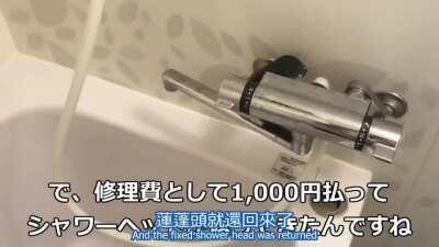 Who leaked the files