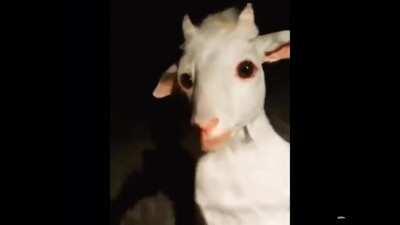 My brain demanded me to make this nonsense combo a long time ago..