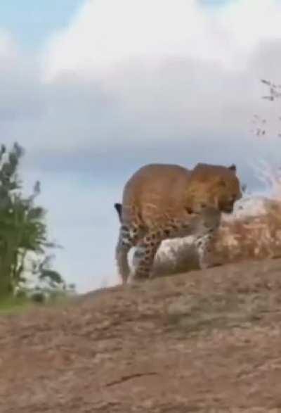 🔥 f'ed around, found out.