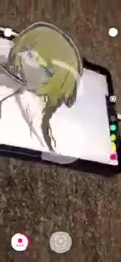 Why are you scaring? Isn't this what you wanted?