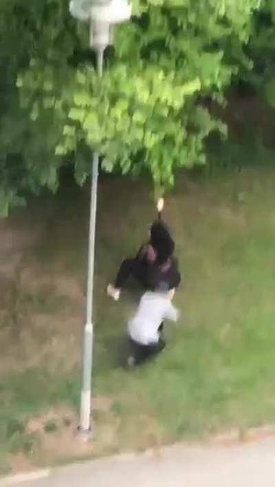 Just witnessed this outside my apartment window, wtf.