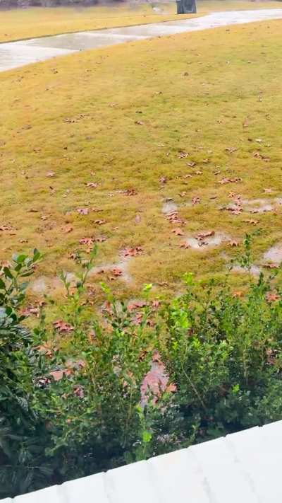 Basement leaking new home