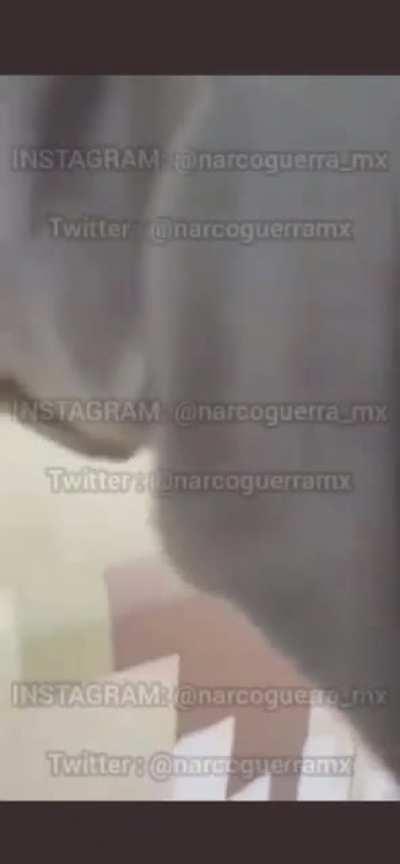 GN POV Of Recent Sonora Confrontation