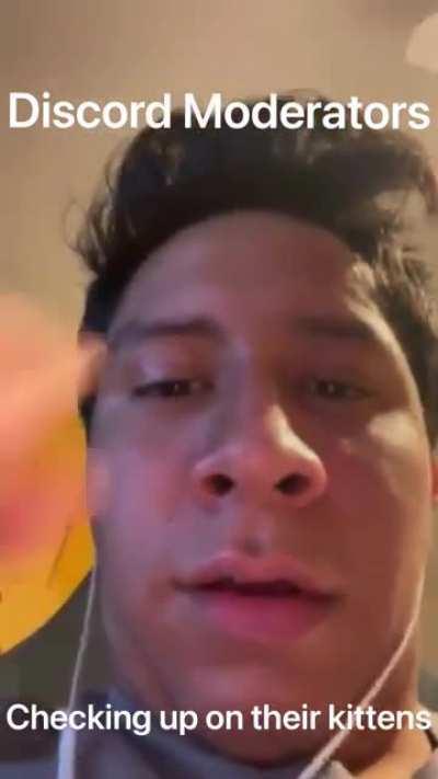 Hello kitten (vid is from Twitter)