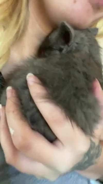 I was painting my house when my bff surprised me with this kitten she rescued from a gas station. Listen to that purr. I think I’m in love.